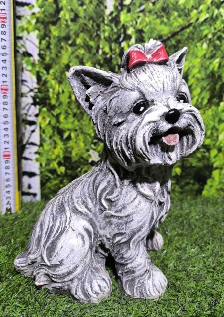 йорк с бант 2 — копия